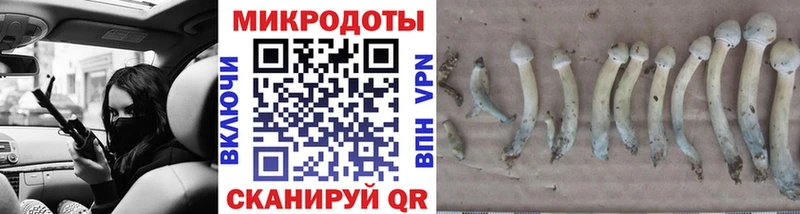 Галлюциногенные грибы Psilocybe Мглин